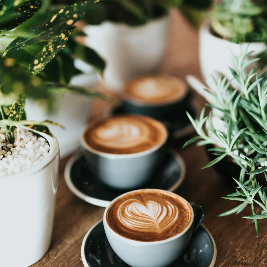 Harvest Academy — Μάθημα barista (Επίπεδο 1)